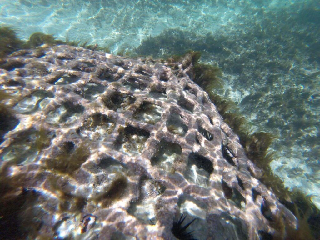 Marine Gabions for Coastal Protection