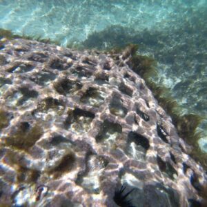 Marine Gabions for Coastal Protection